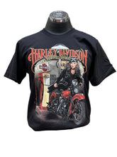 Load image into Gallery viewer, DENALI HARLEY-DAVIDSON PINUP RIDE MENS T-SHIRT