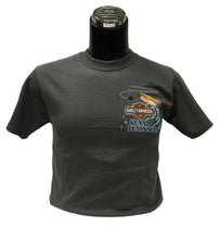 Load image into Gallery viewer, KENAI PENINSULA FISHING GAL T-SHIRT
